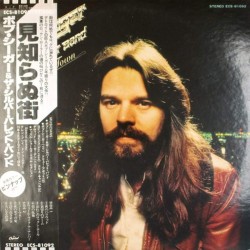 Пластинка Bob Seger & The Silver Bullet Band Stranger In Town